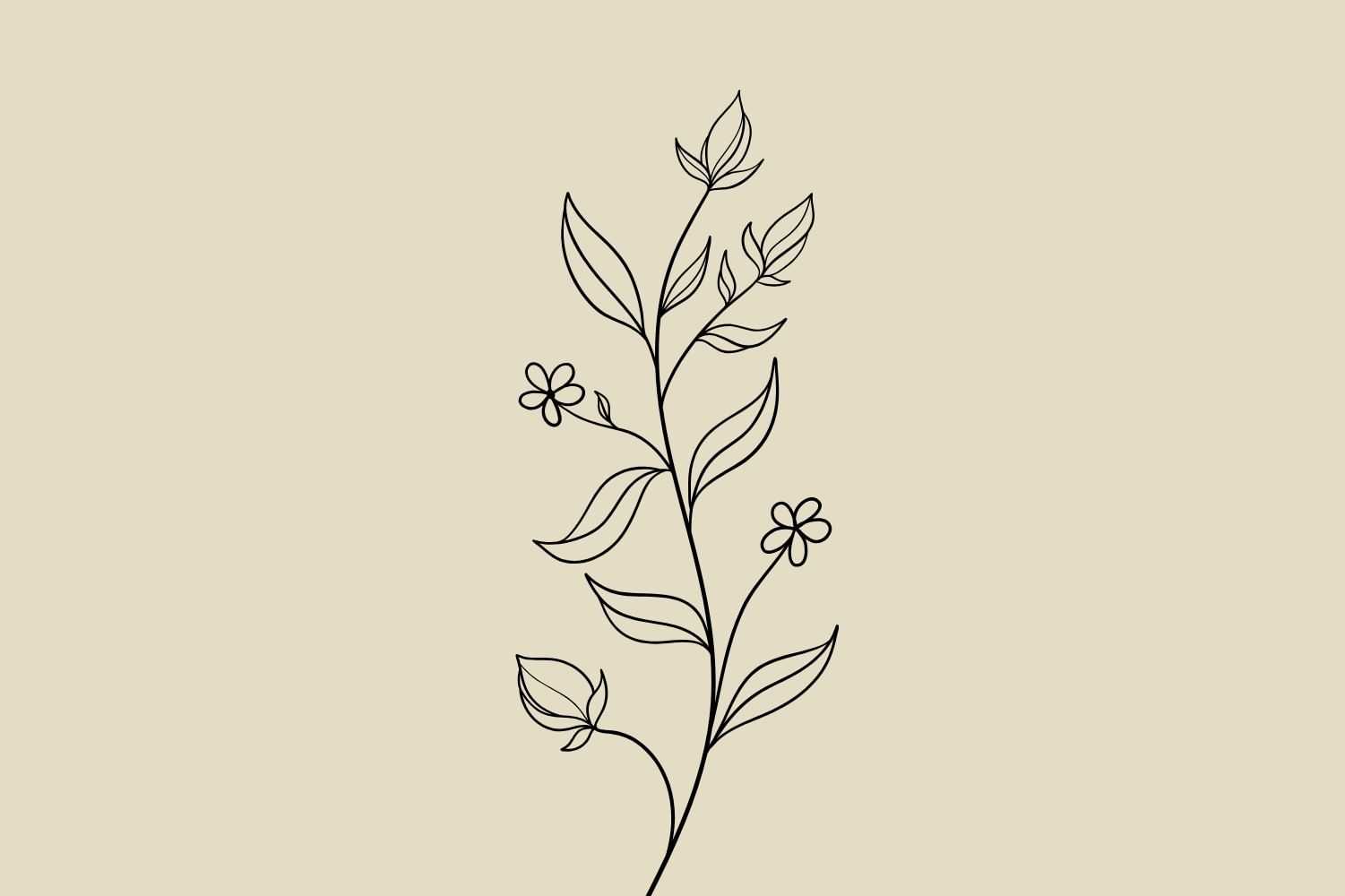 Minimalist line drawing of a plant with leaves and small flowers on a beige background.