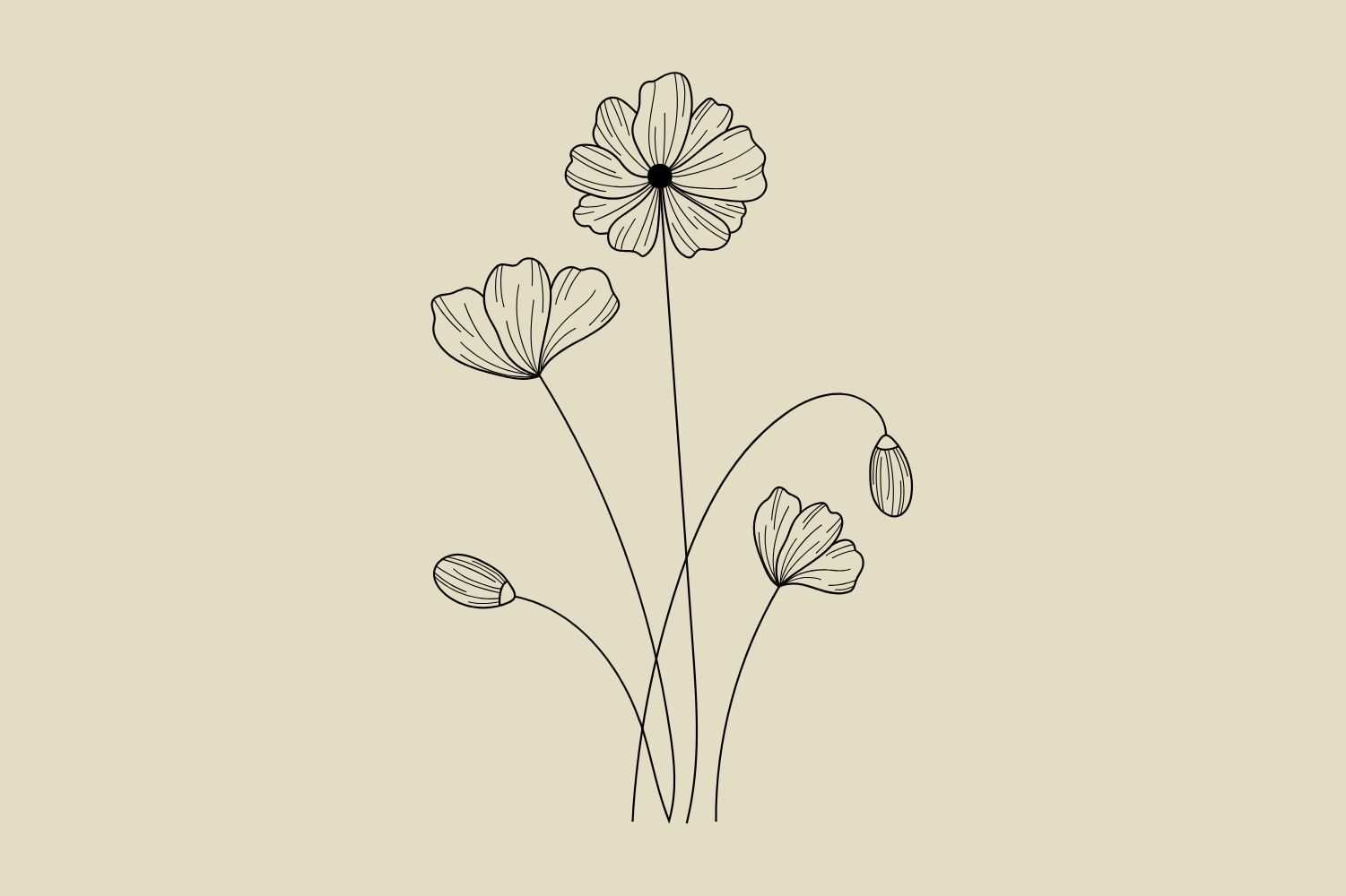 Minimalist line drawing of poppy flowers on a beige background.